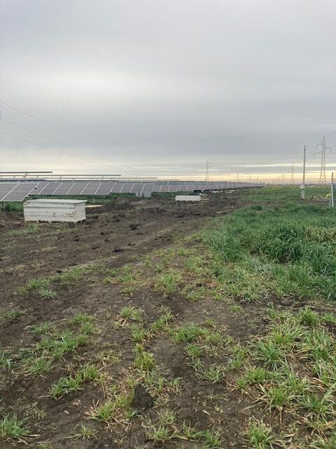 SZEGED-NAPERŐMŰPARK ÉPÍTÉS: MUNKA- ÉS TŰZVÉDELMI KOORDINÁTORI FELADATOK ELLÁTÁSA